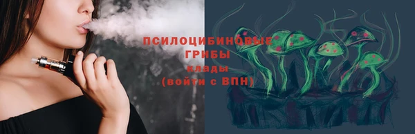 МДПВ Алзамай