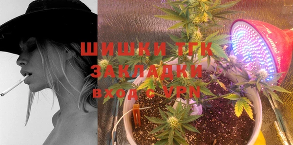шишки Алексин