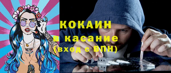 шишки Алексин