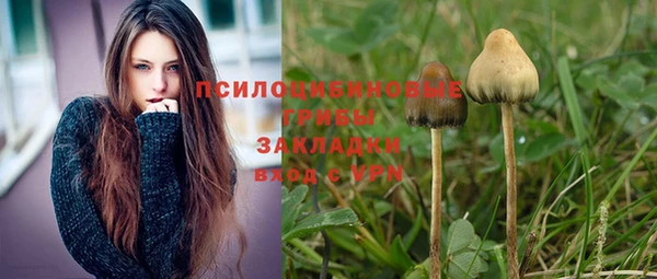 МДПВ Алзамай