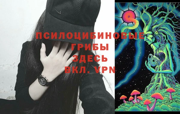 МДПВ Алзамай
